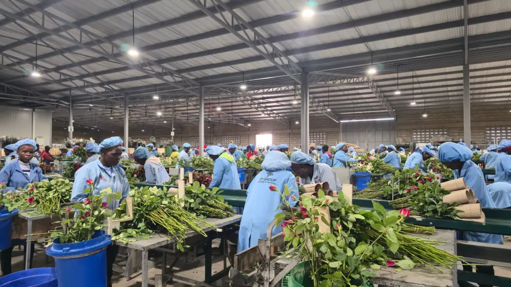 基于大数据的航线运价波动规律与船舶供需平衡研究