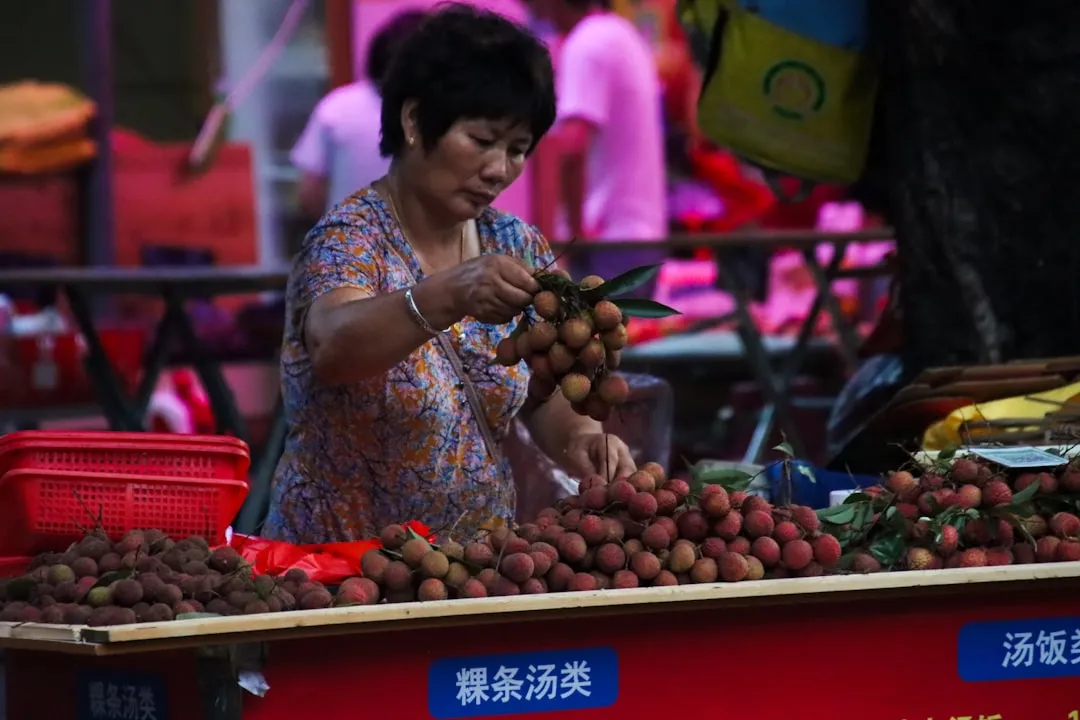 2025年东北亚航线运价波动特征与船舶供需平衡分析