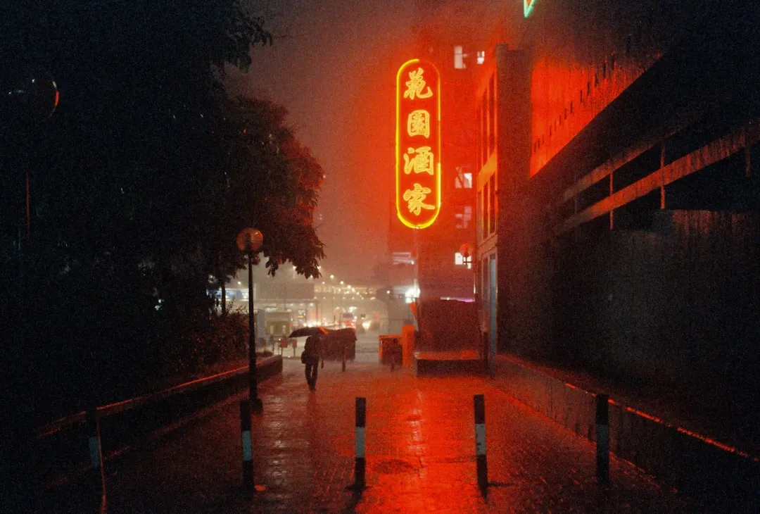 2025年全球主要航线运价报告：供需失衡下的新趋势分析