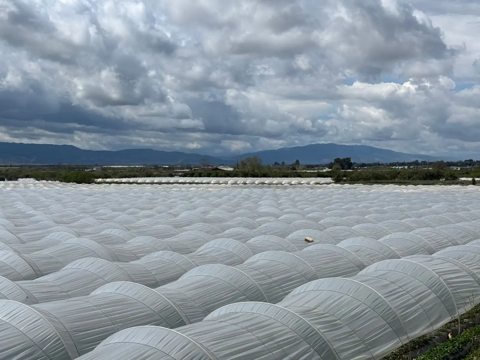 基于船舶AIS数据的航线运价波动与供需平衡模型研究