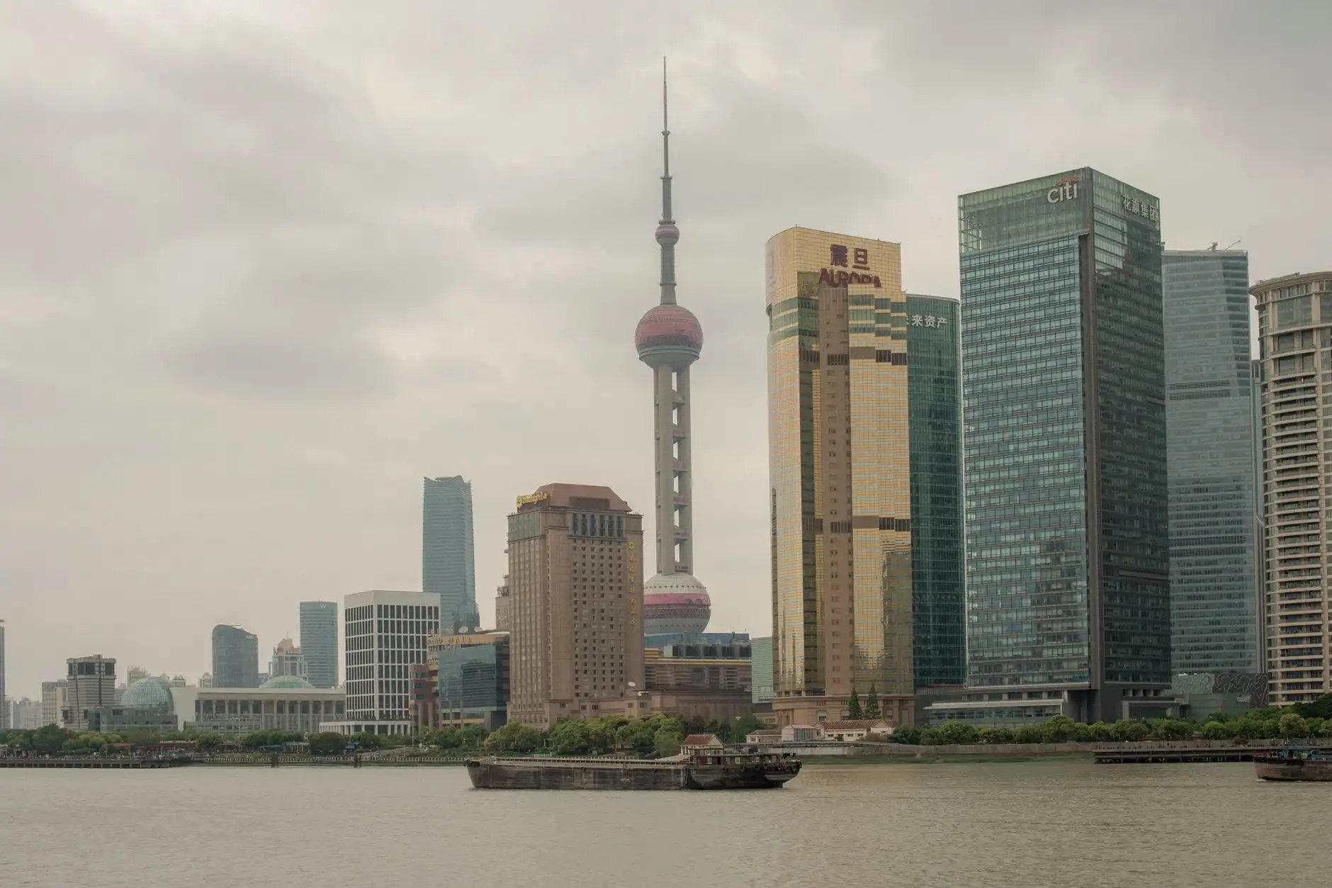 航线运价报告对比：大连朋胜经济信息咨询如何助力贸易企业优化海运成本