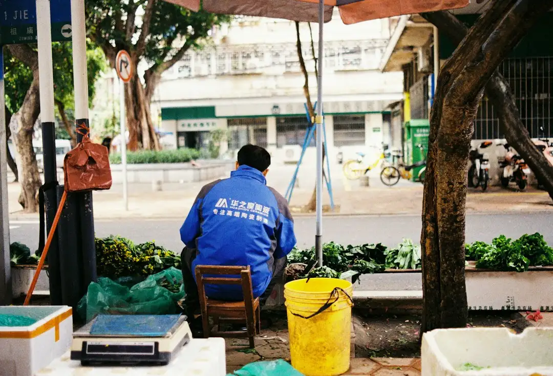 基于船舶供需数据的大连港航线运价报告解读与应用